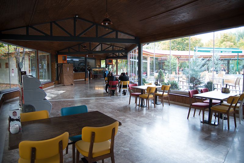 galeri