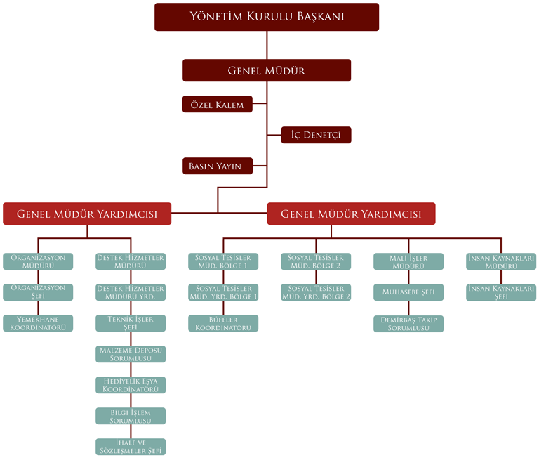 Organizasyon Şeması